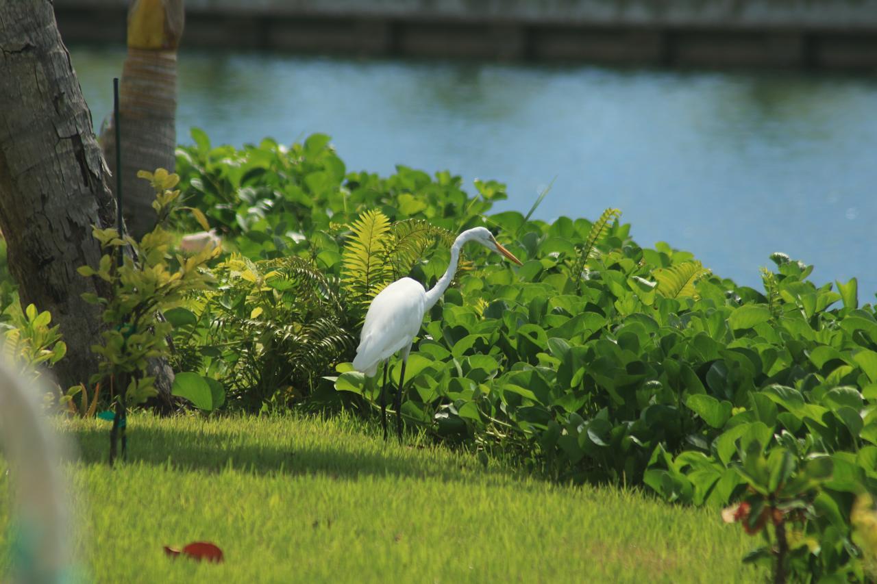 The Sandpiper Inn Crossing Rocks Esterno foto